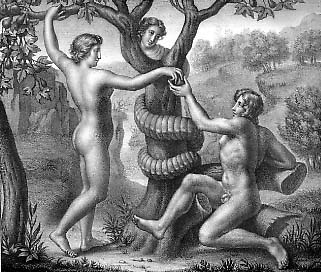 La pome d'Adam et Eve. Gravure du 18° siècle.