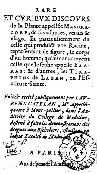 Texte de Catelan sur la mandragore.